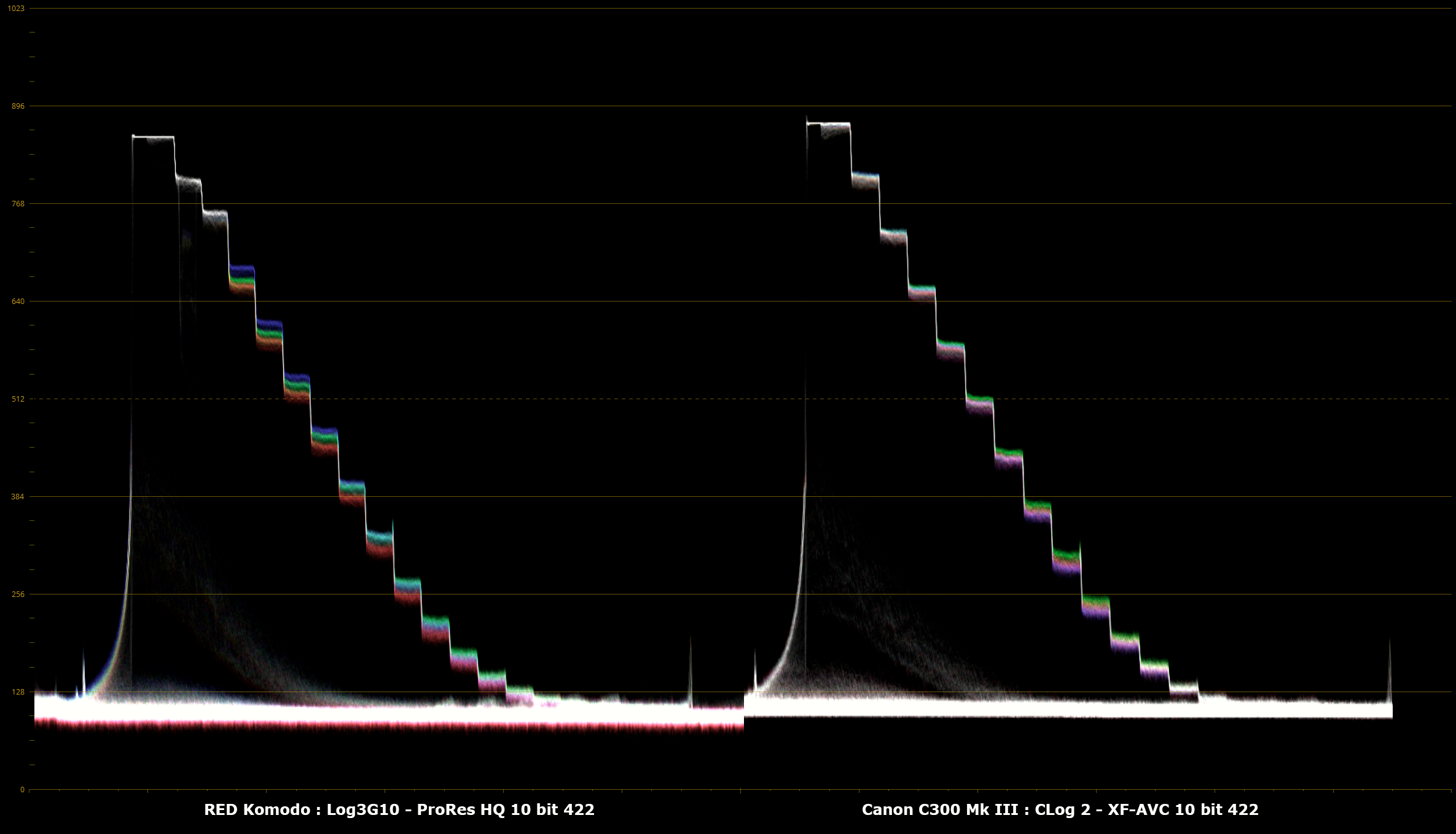 01_RED_Komodo_Prores_422HQ_Log3G10_vs_Canon_C300_Mk_III_Clog_2.png