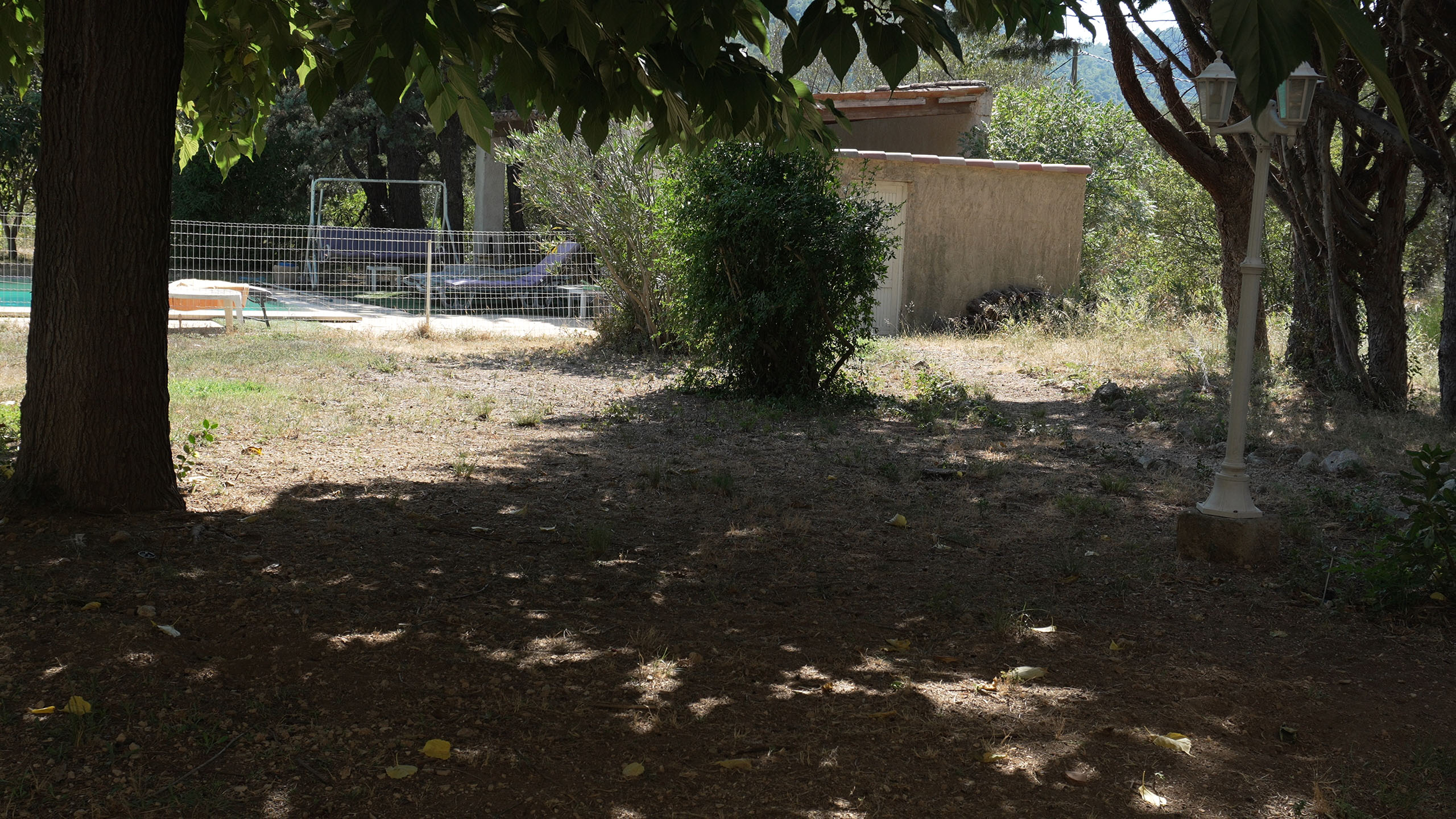 2025 08 08 PP11 SE.jpg