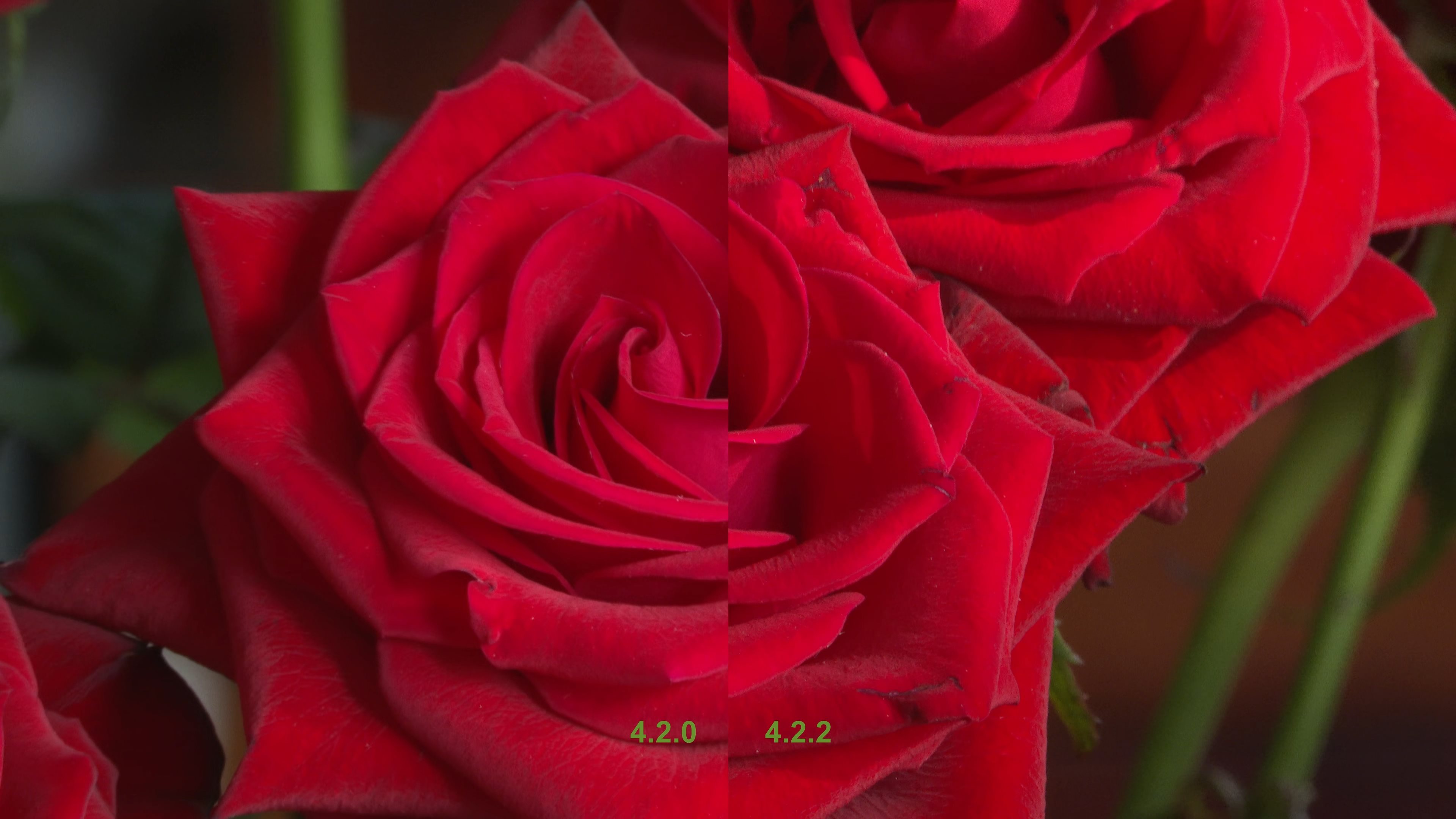 4.2.0 vs 4.2.2.jpg