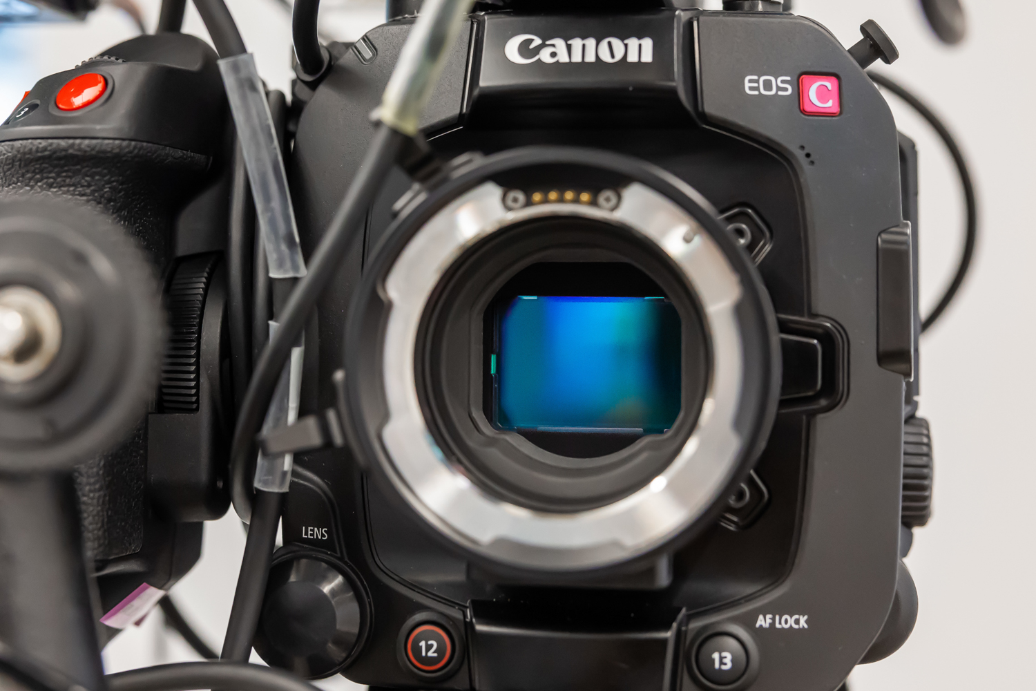 549292224603-EOS C400_Ambient_Christne Ng_Canon USA_07[1].jpg