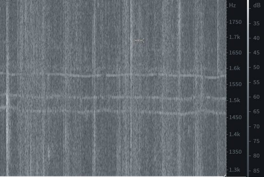 5_cible_ligne_horizontale_triplet.jpg