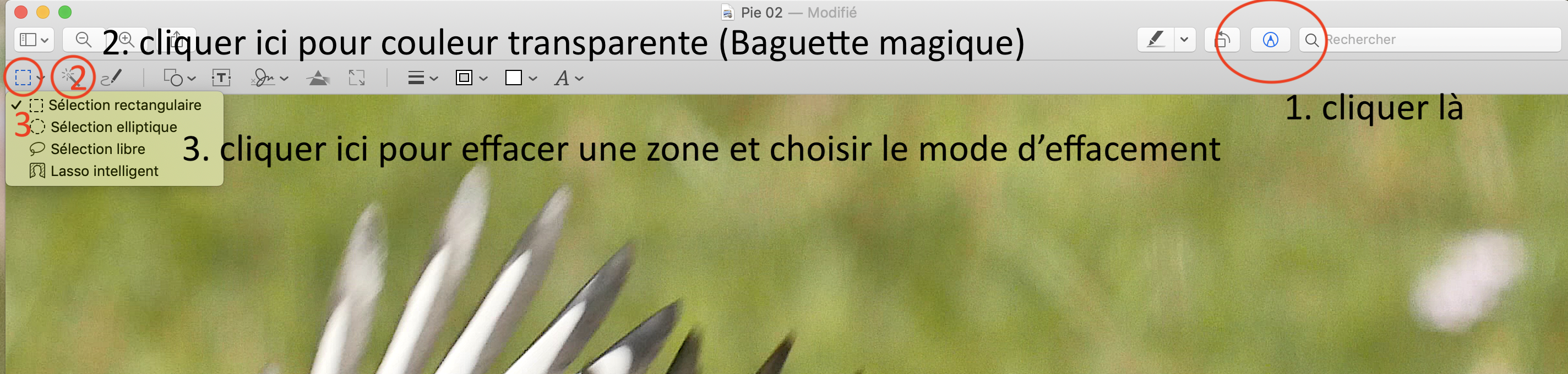 Aperçu.png