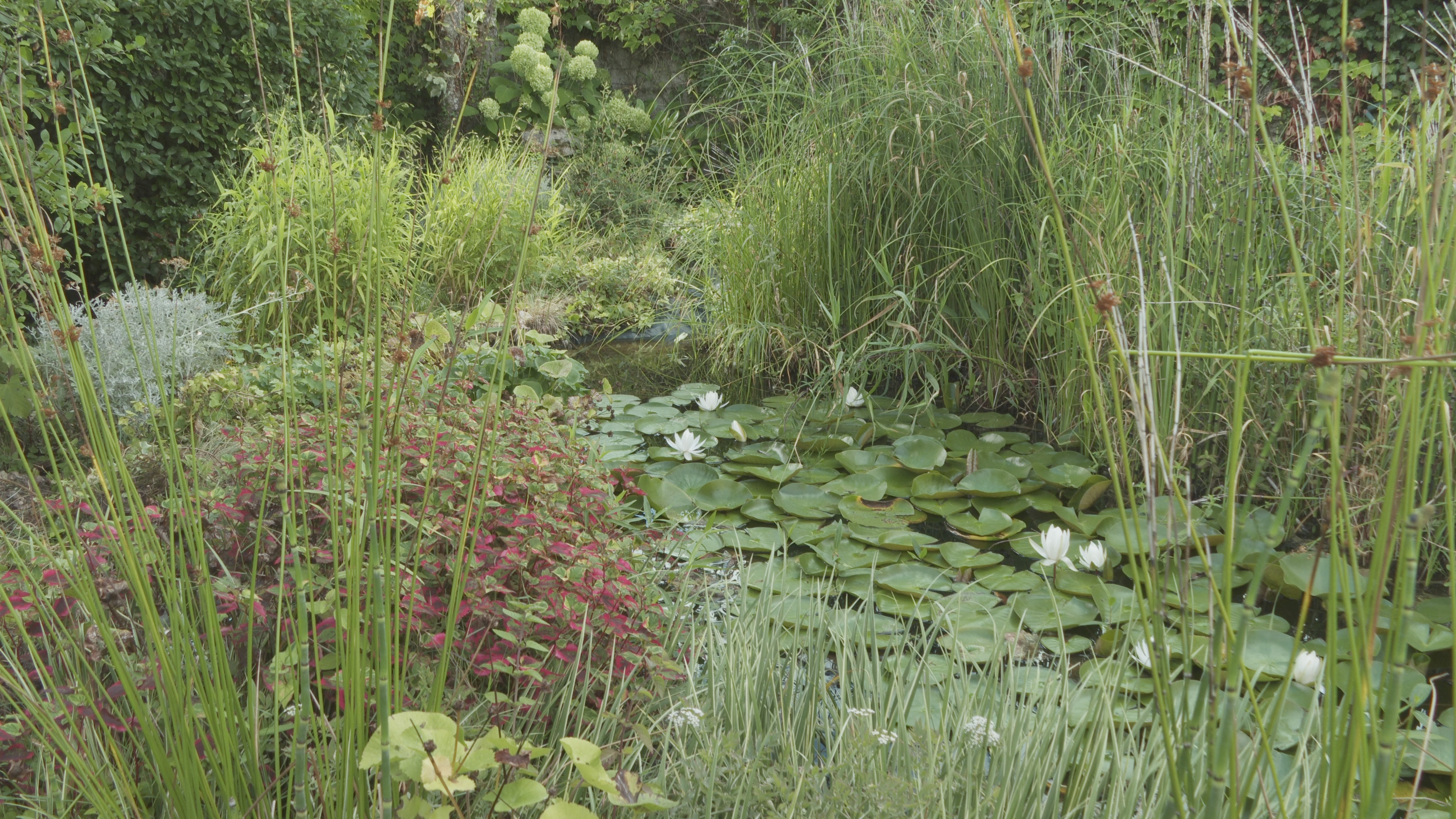 Bassin.jpg