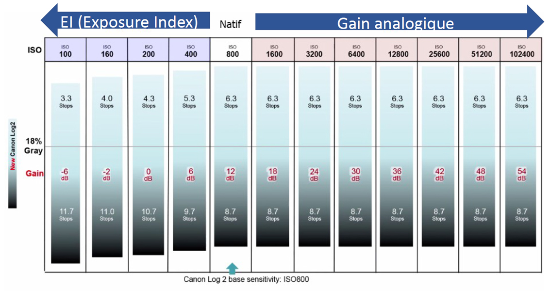 C300-mark-II_répartition-dynamique-par-ISO.jpg