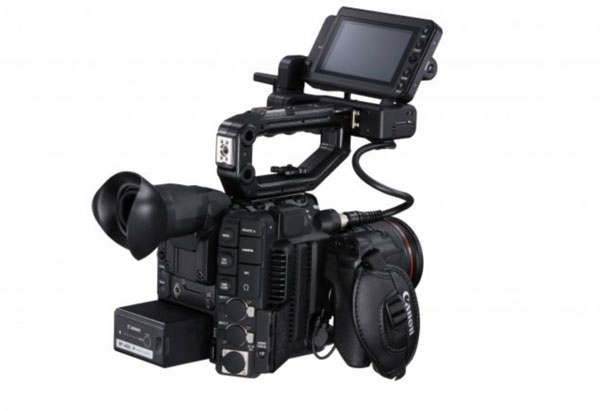 C300_mark_III_arriere.jpg