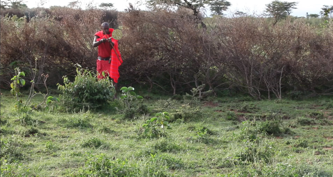 Capture d’écran 2018-09-25 à 11.01.21.png