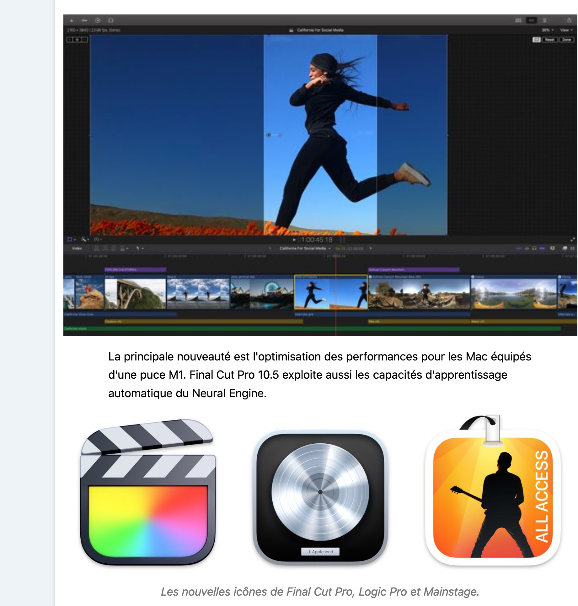Capture d’écran 2020-11-13 à 23.03.57.png