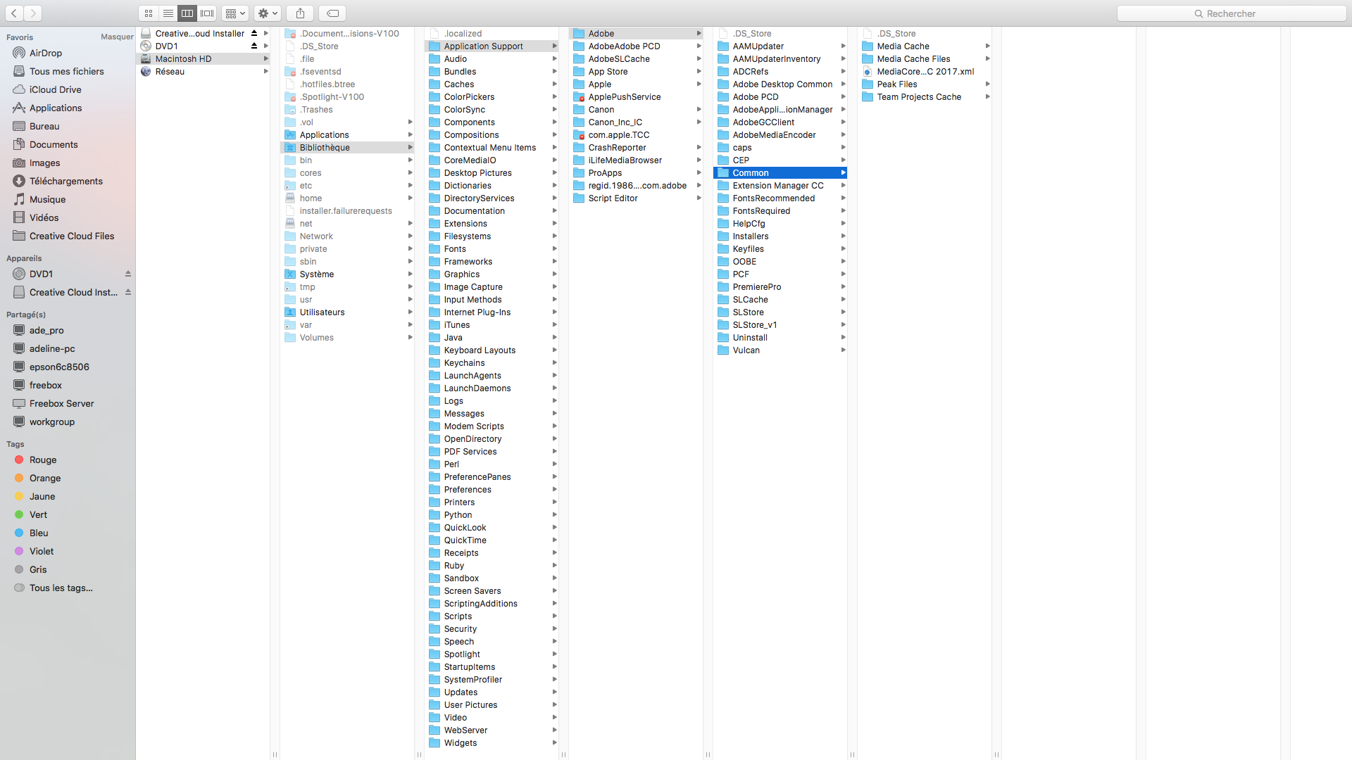 Capture d’écran avant supression.png