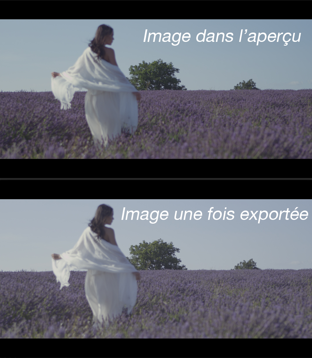 Capture d’écran.jpg