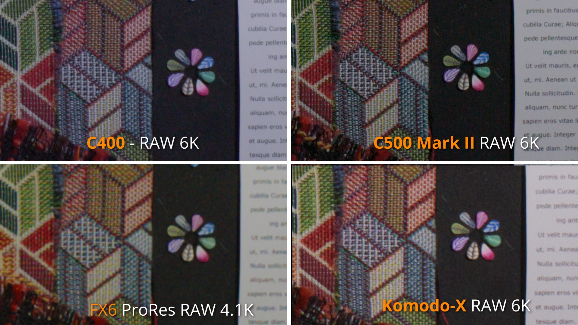 capture HQ - PF RAW tissus pétales_3.21.1_2.8.1.jpg