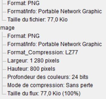 Capture info logo petit format.JPG