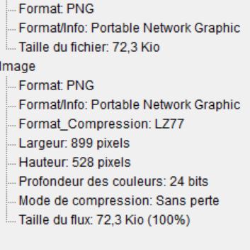 Capture info logo petit format miniature.JPG