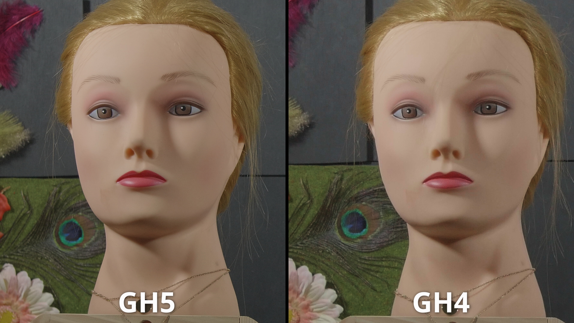 Carnation GH5 Vs GH4_2.27.1.jpg