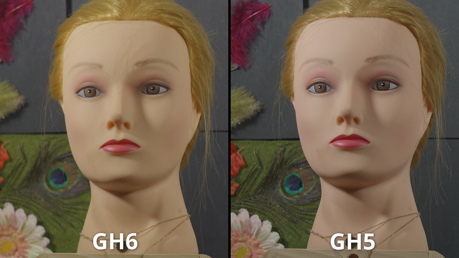 Carnation GH6 Vs GH5_4.20.1.jpg