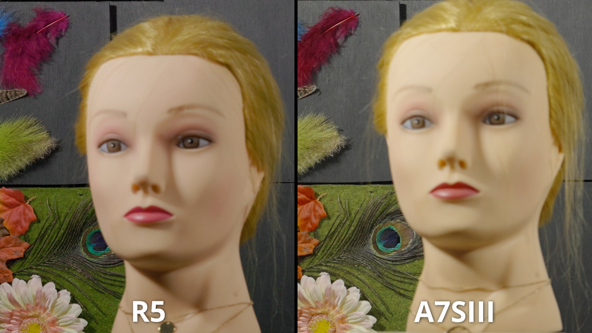 Carnation R5 Vs A7SIII_3.11.1.jpg