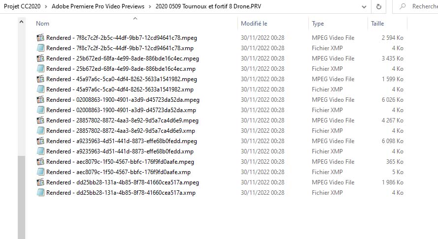 CC Vidéo previews.jpg