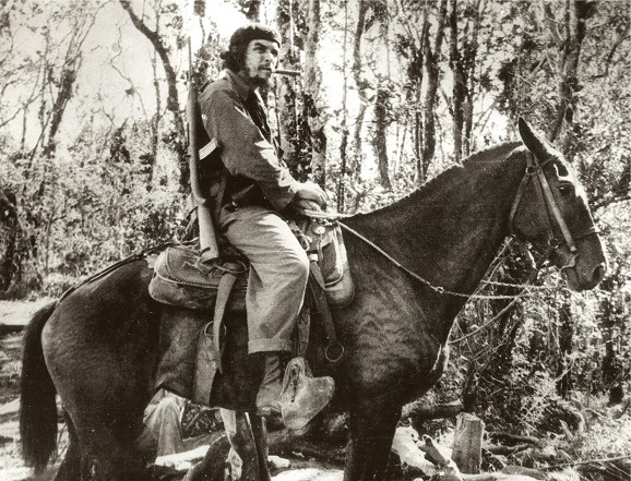 Che_Mule-USM2.jpg