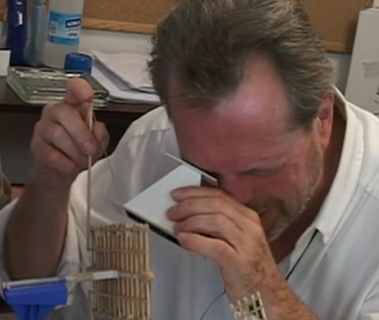 cherche champs pauvre 1.png