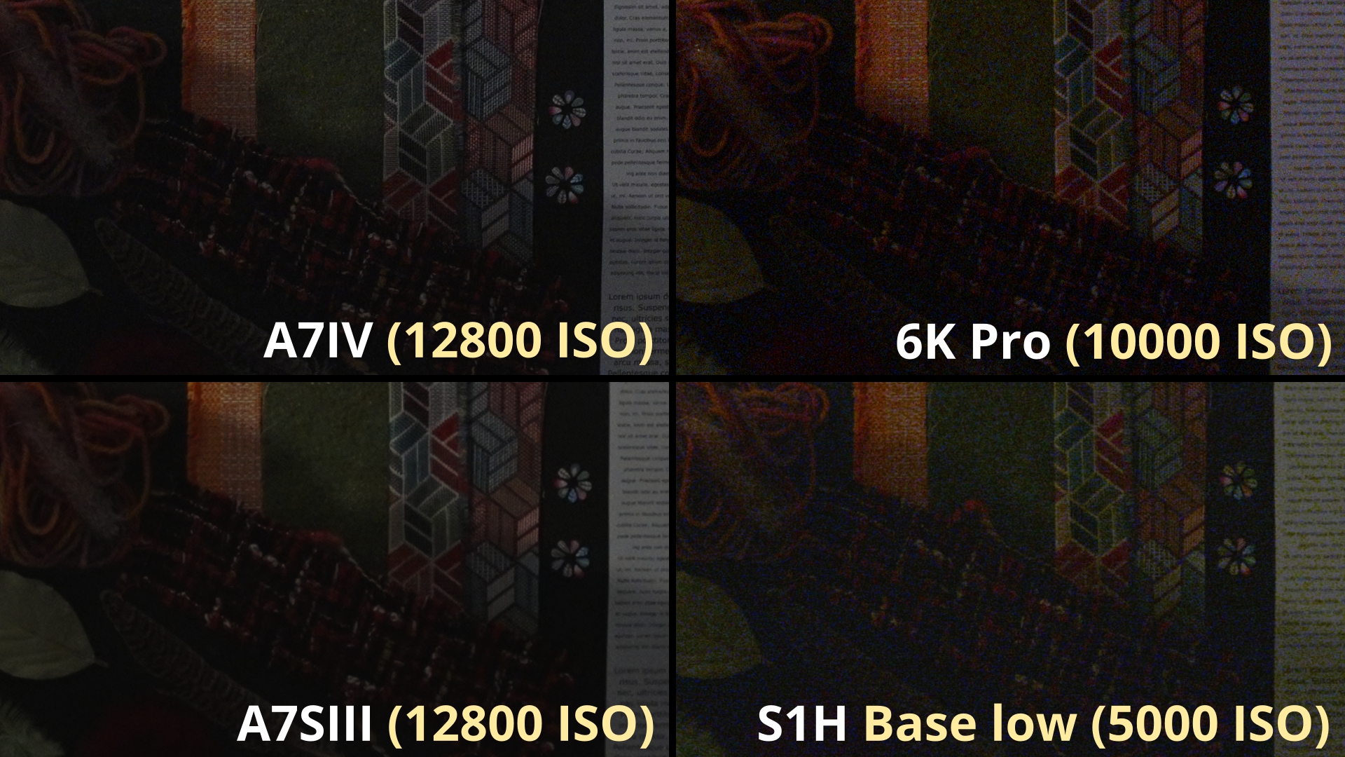 Comparatif A7IV ISO 12800 S1H Base Low 5000 ISO_4.32.1.jpg