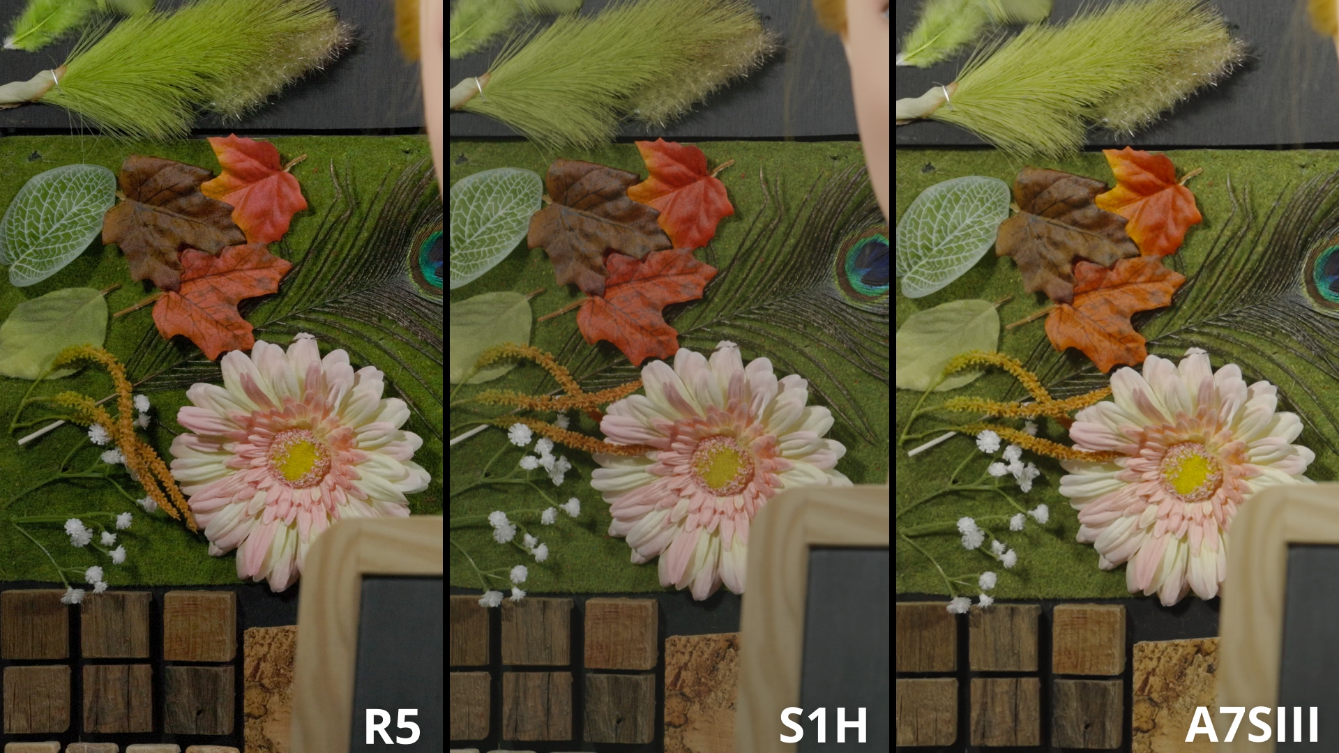 Comparatif Texture 4K 2_4.12.1.jpg