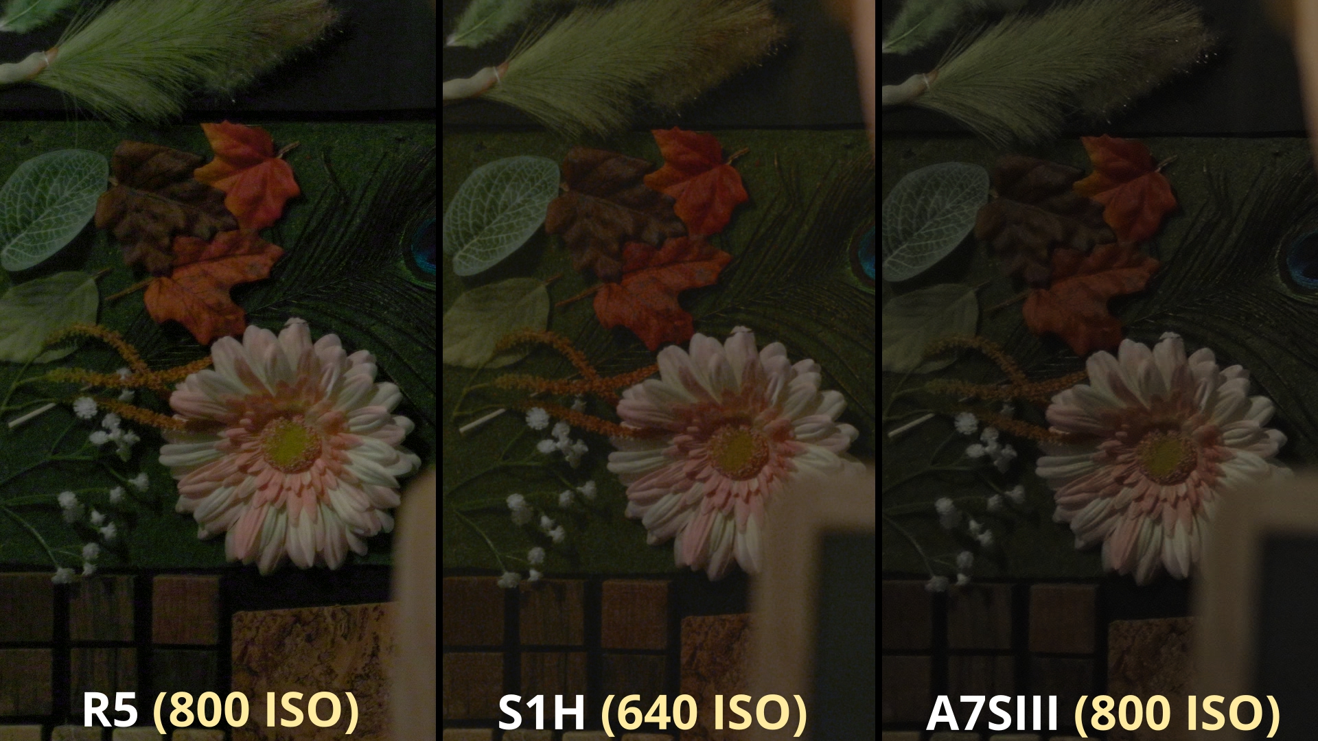 Comparatif Texture Low light R5 8K S1H 4K A7SIII 4K_4.18.3.jpg