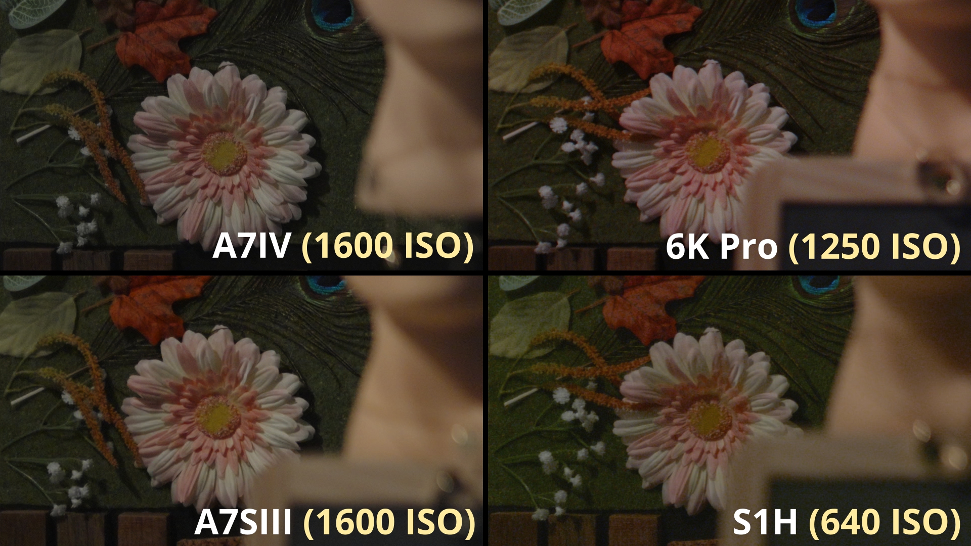 Comparatif Textures UHD Low Light 3_4.28.1.jpg