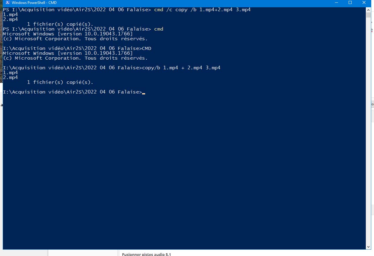 copy dos.jpg