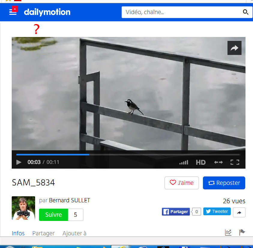 Dailymotion.jpg