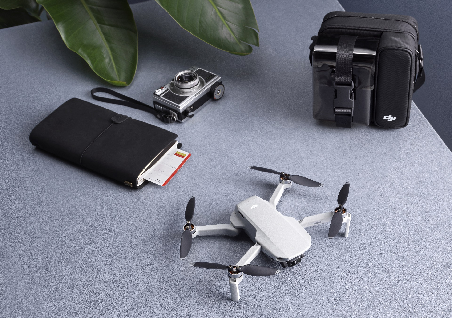 DJI-Mini-2-lifestyle2.jpg