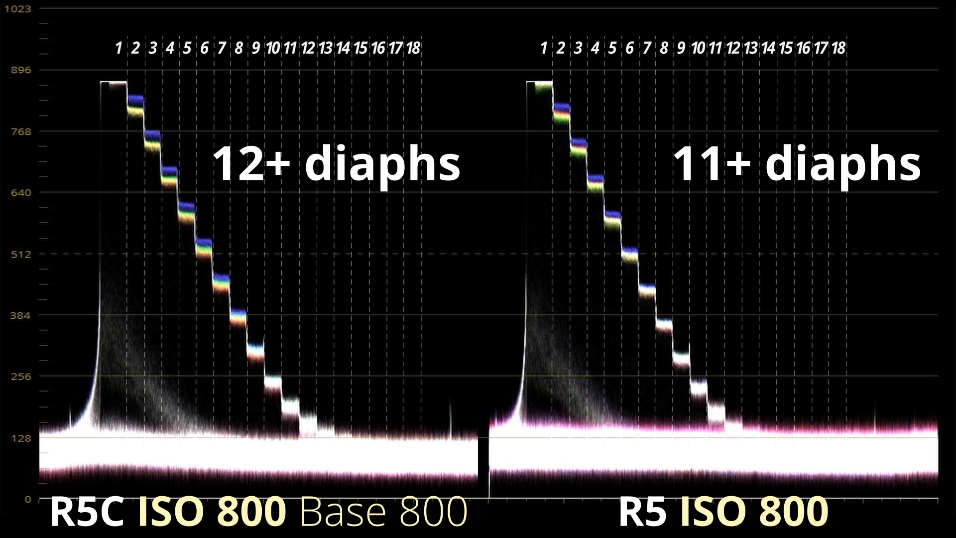 DYN 800 ISO R5C Vs R5 RAW CLog2 WVF_4.2.1.jpg