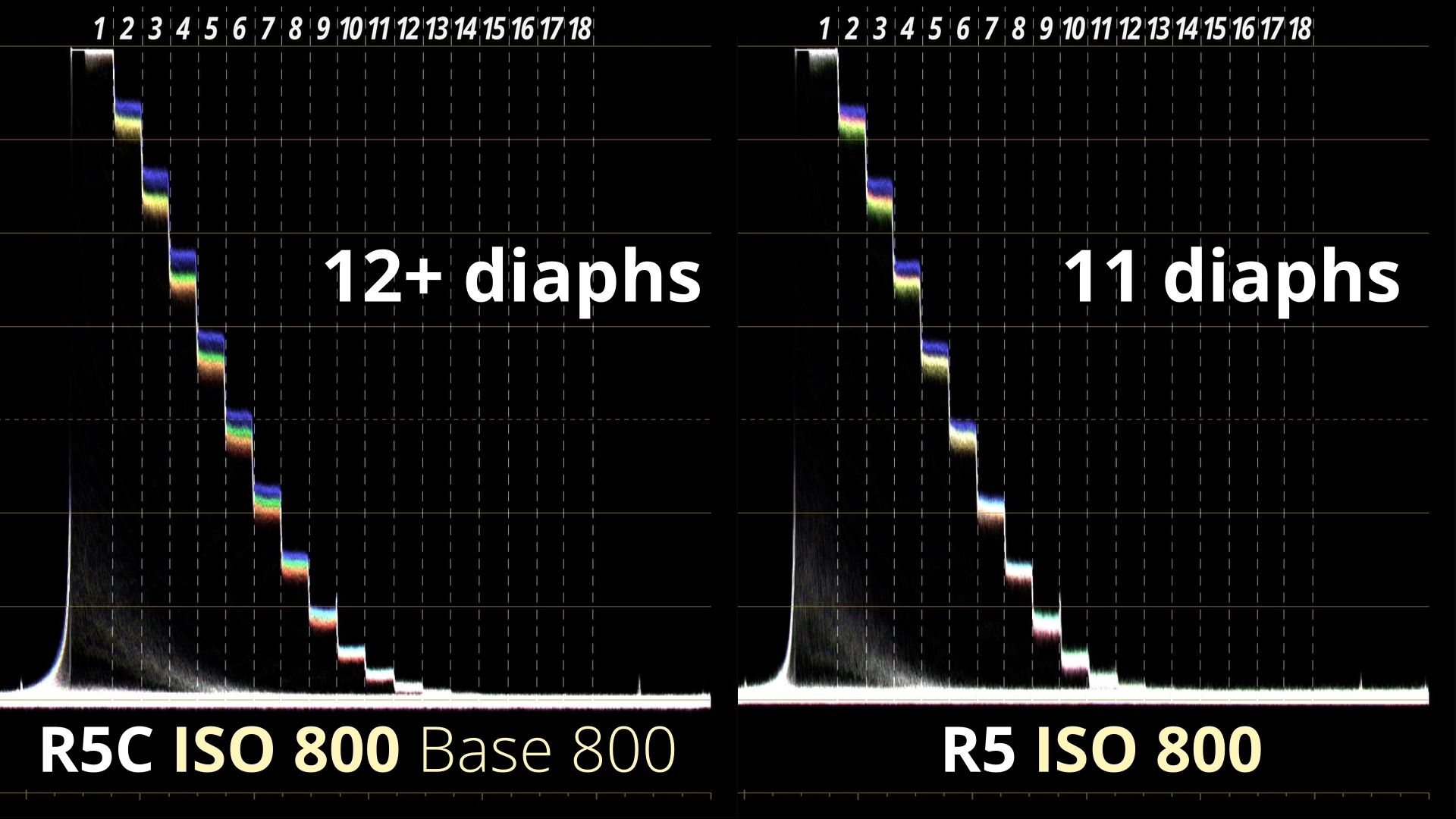 DYN 800 ISO R5C Vs R5 WVF_4.1.1.jpg