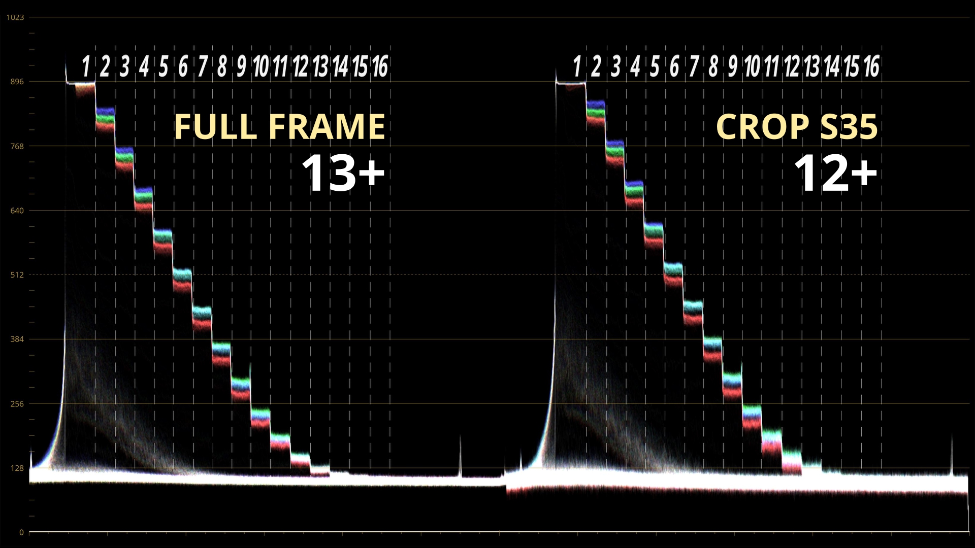 DYN A7IV Full Frame VS Crop S35_6.6.1.jpg