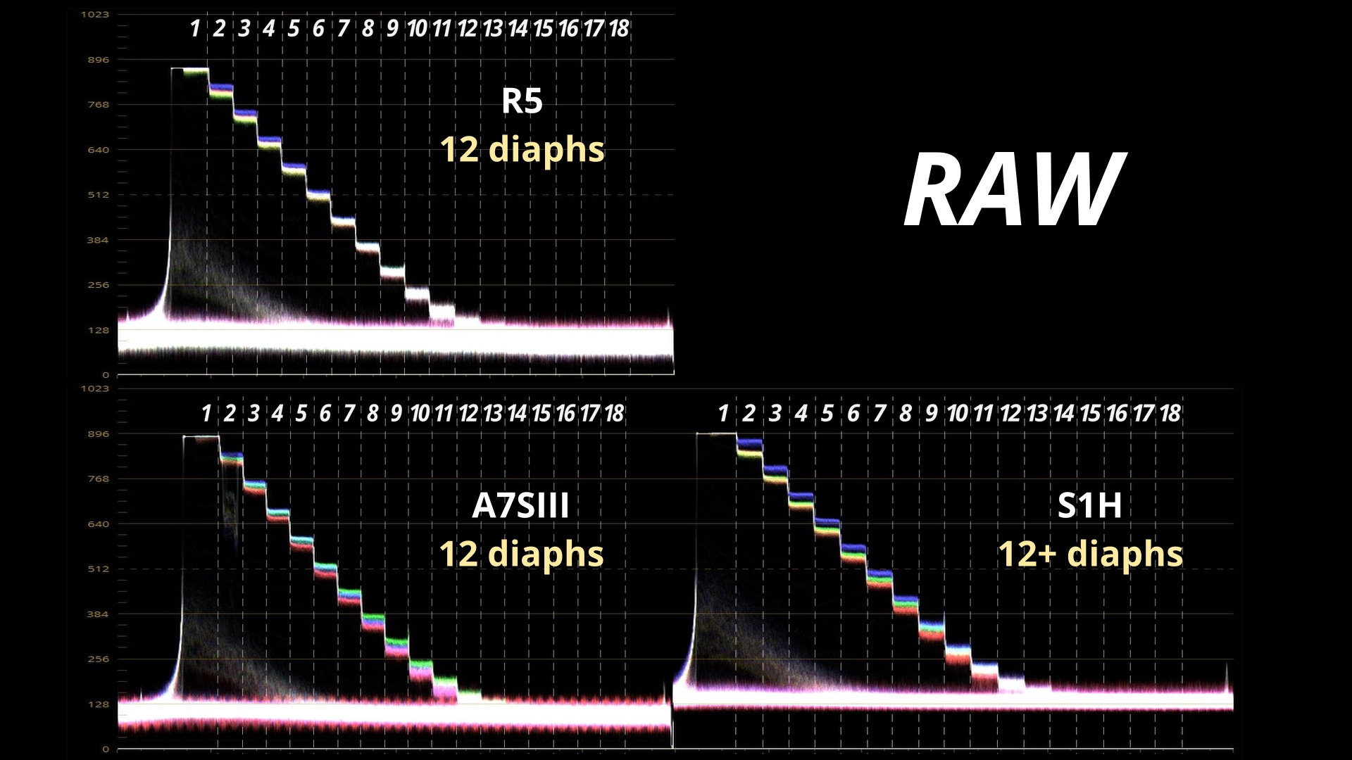 Dyn Comparatif RAW WVF_7.5.1.jpg