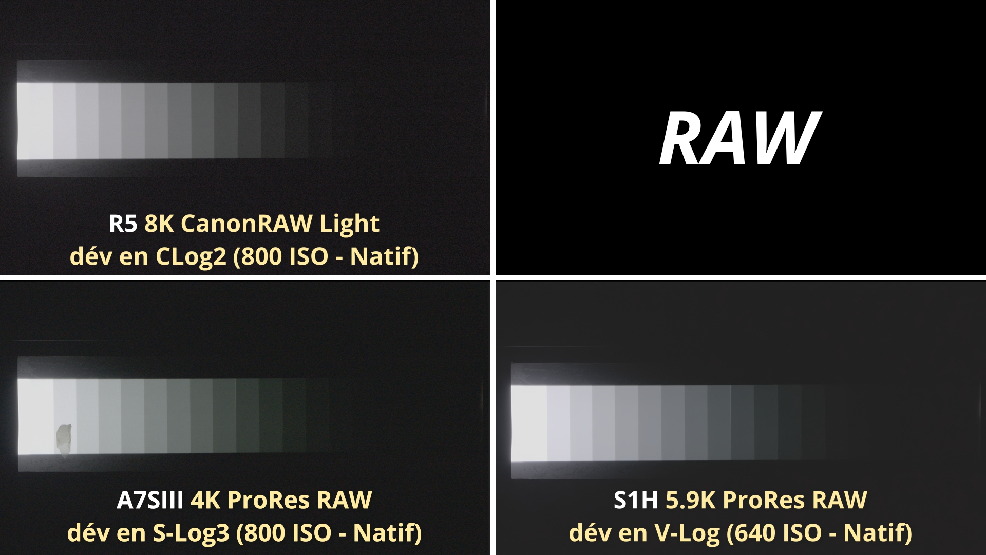 Dyn Comparatif RAW_3.47.2.jpg