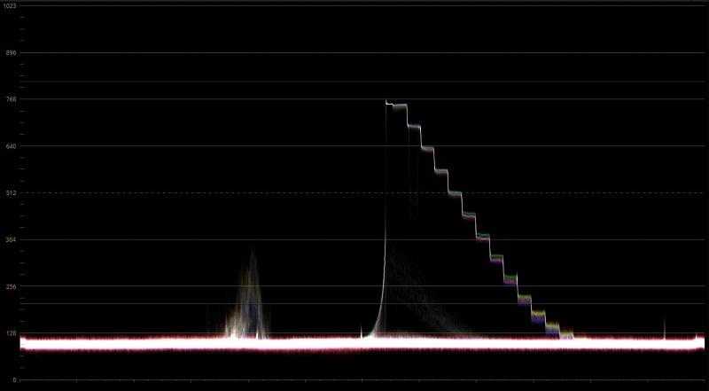 DYN RAW 3.1 LOW.JPG