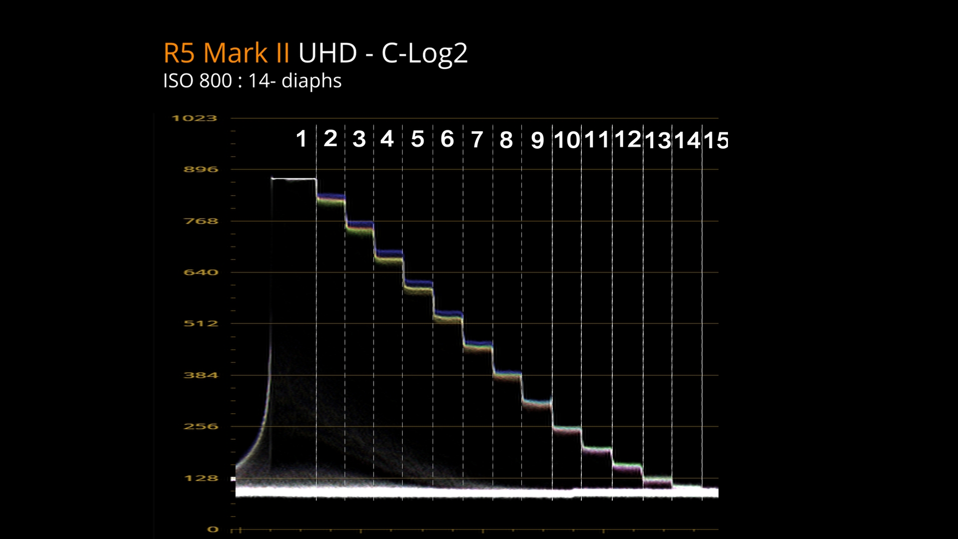 Dynamique-R5markII-Log_5.1.1_4.23.1_4.23.1.jpg