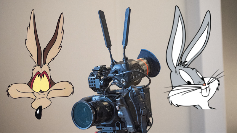 EVF-Z-Cam-29.jpg
