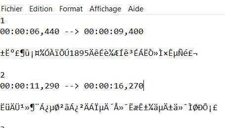 Fichier Chinois srt ouvert.JPG