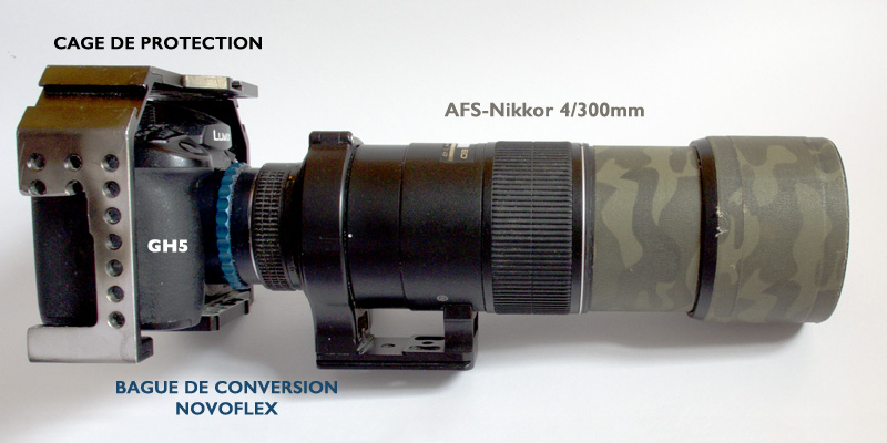 GH5-objectif300.jpg