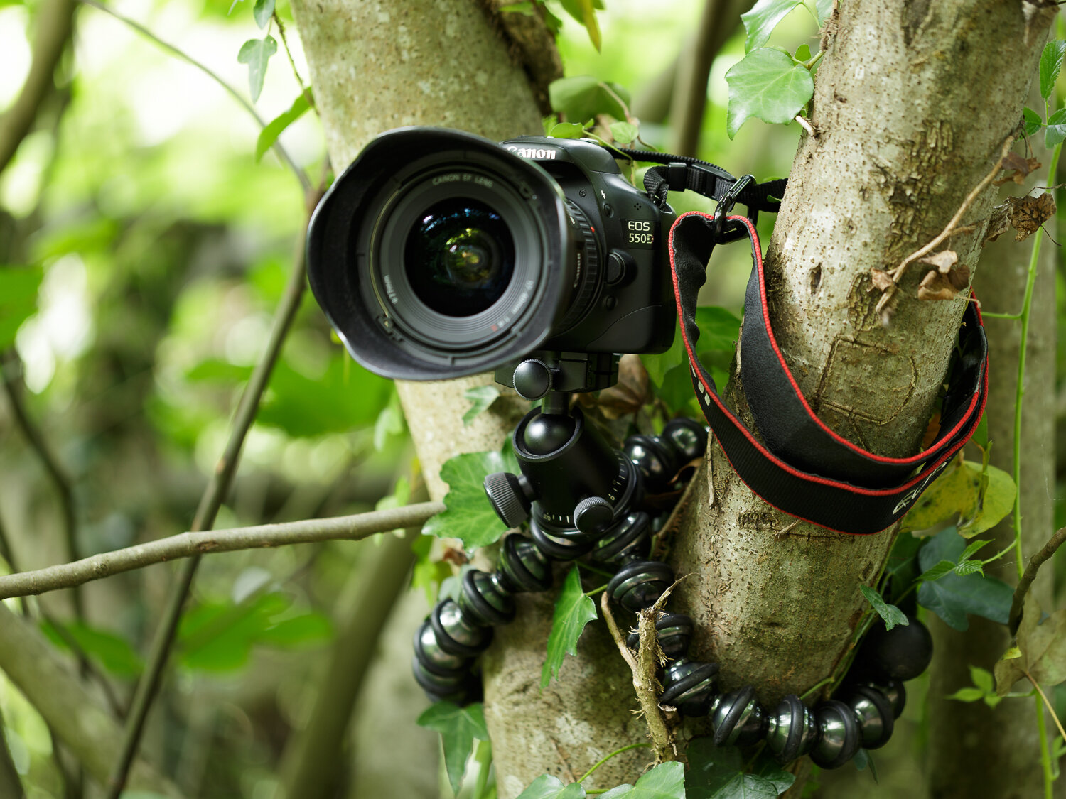 Gorillapod+Focus+arbre.jpg