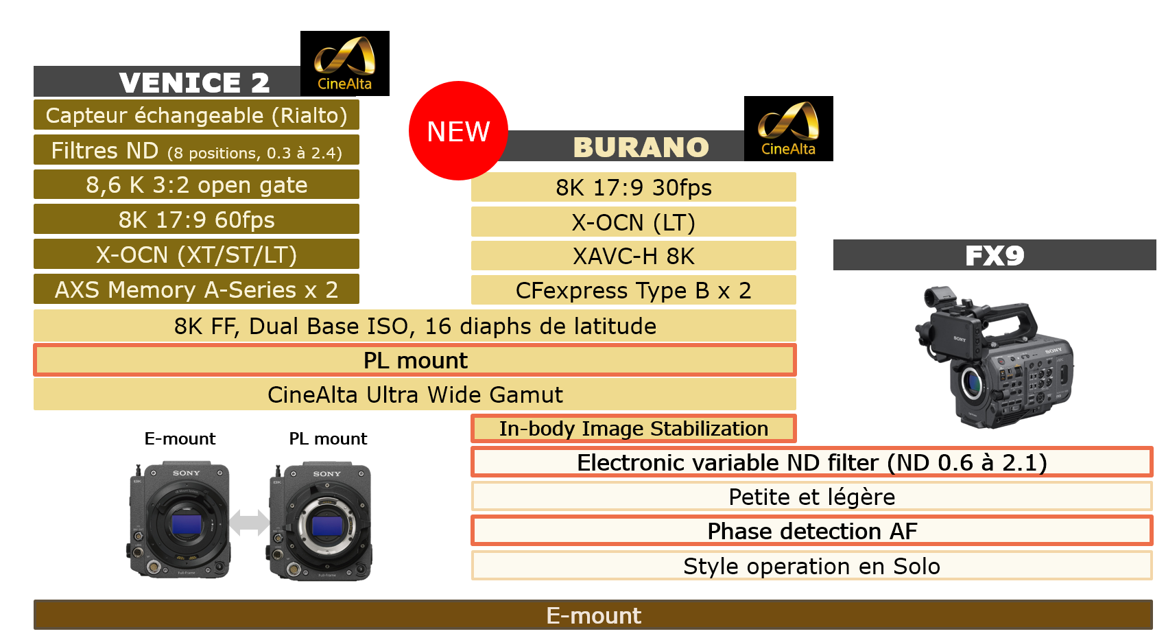 image5.png