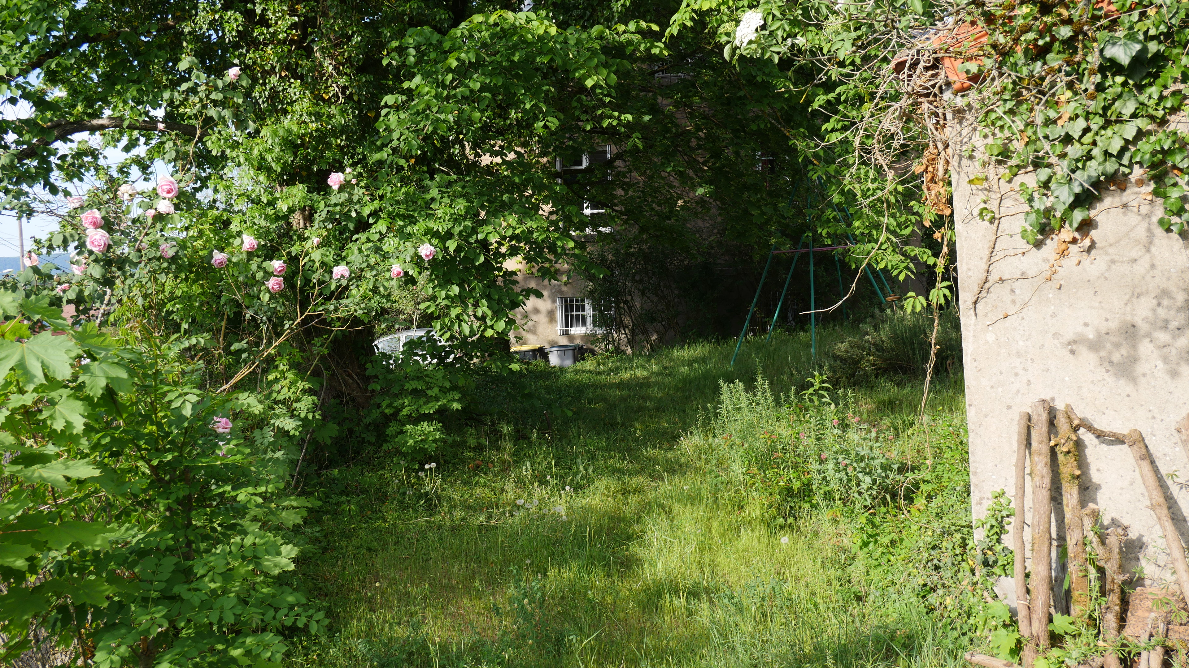 Jardin 02.jpg