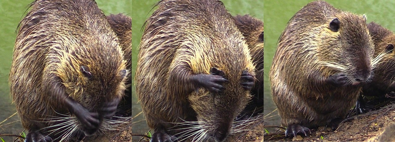 LE SECRET DU BONHEUR.jpg