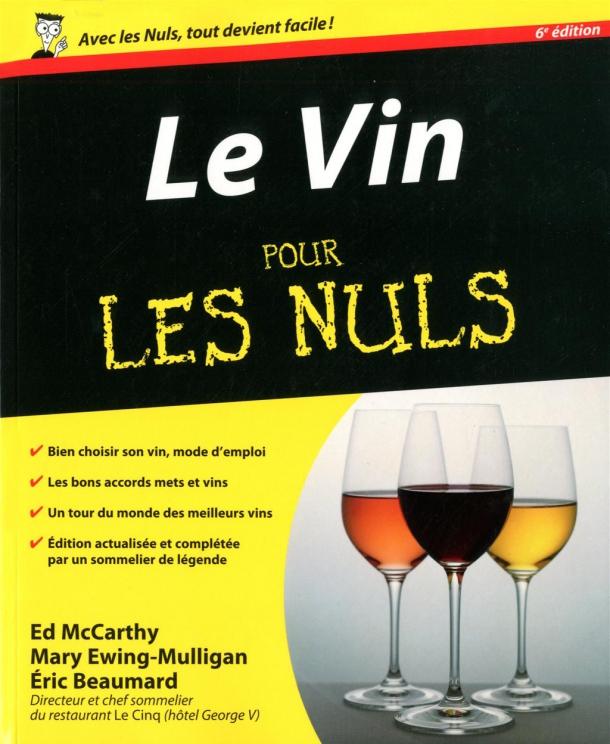 le-vin-c-est-aussi-pour-les-nuls.jpg