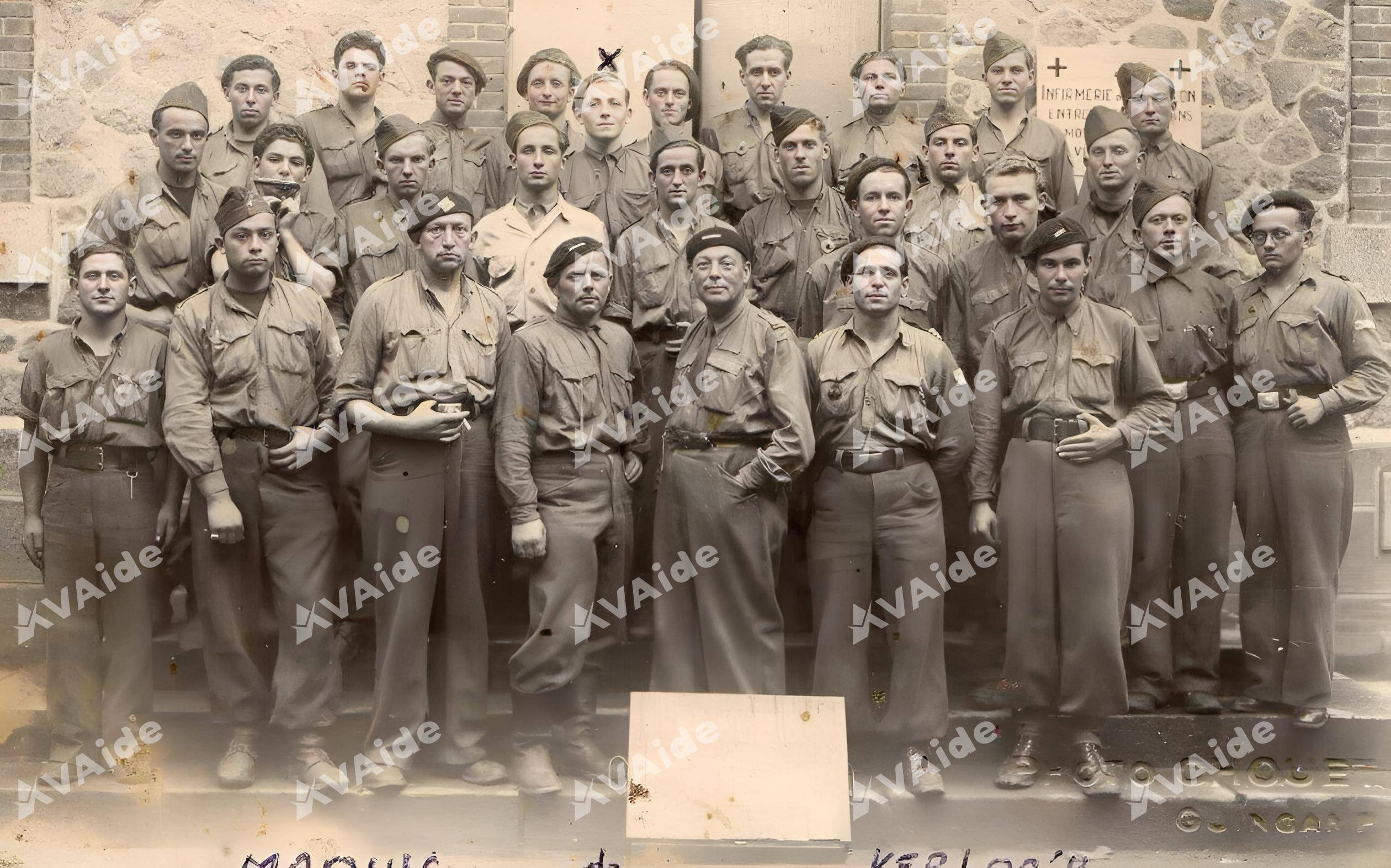 maquis de ploumagoar_avaide.jpg
