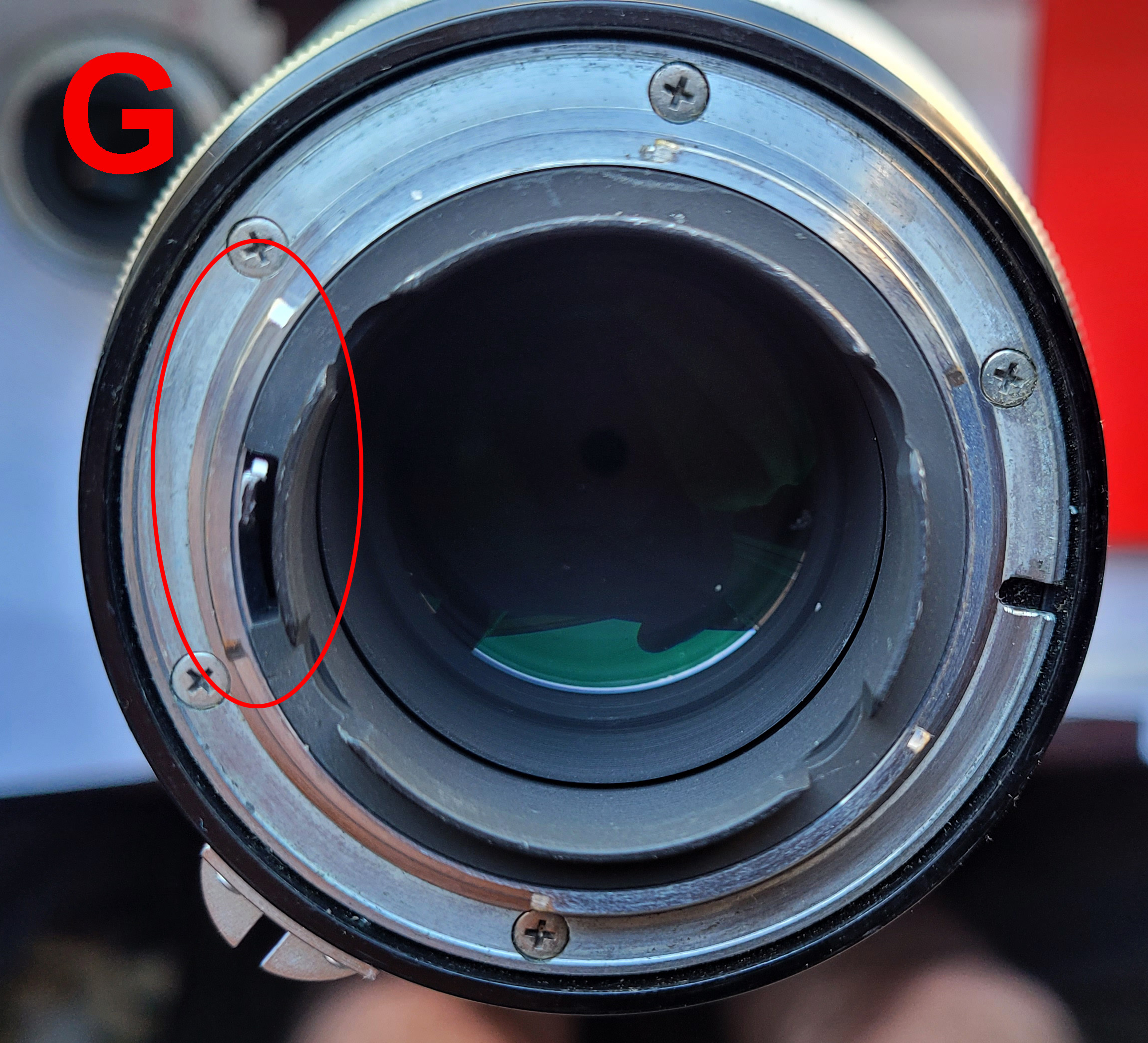 Nikon G.jpg