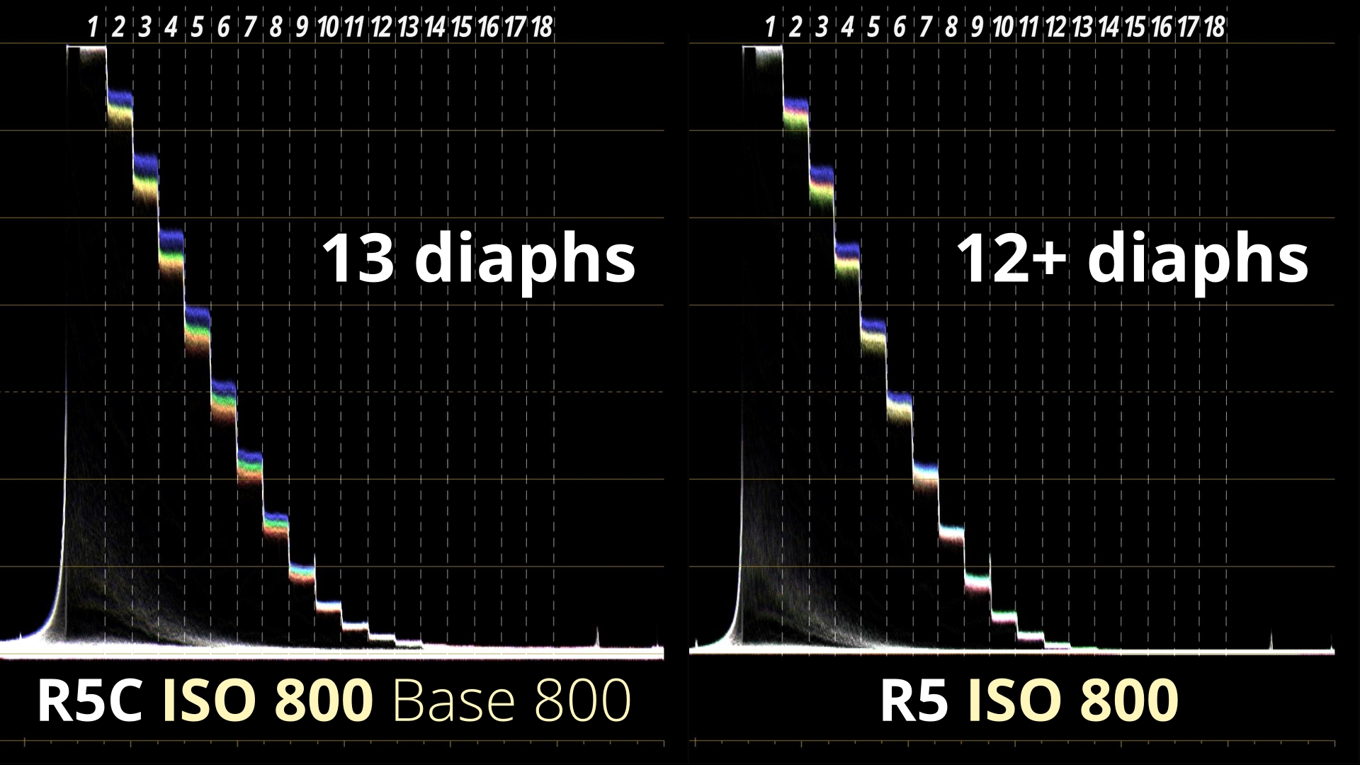 NOUVEAU DYN 800 ISO R5C Vs R5 WVF DENOISE_4.1.2_4.1.1.jpg