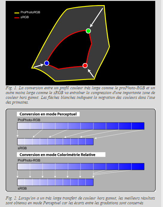 Profi-couleur .PNG