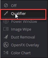 qualifier.jpg