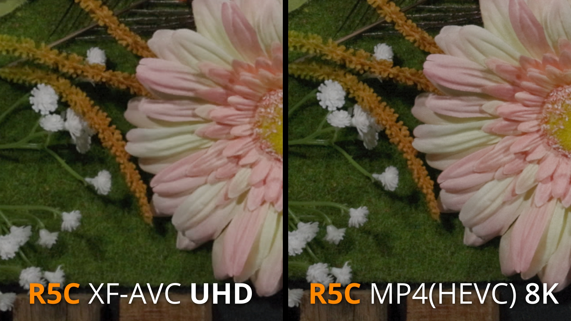 R5C 8K Vs 4K Textures 1_2.59.1.jpg